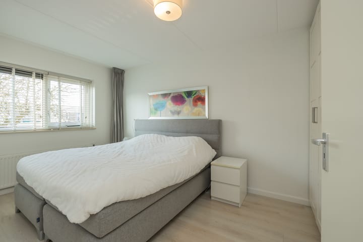 Photo 24 of Hondskruid 28