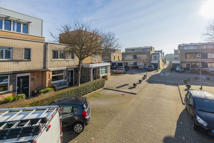 Photo 32 of Hondskruid 28