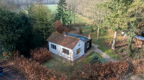 undefined main image