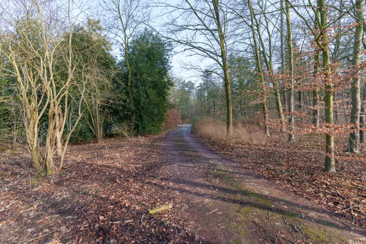 Foto 17 van Amersfoortseweg 1-D