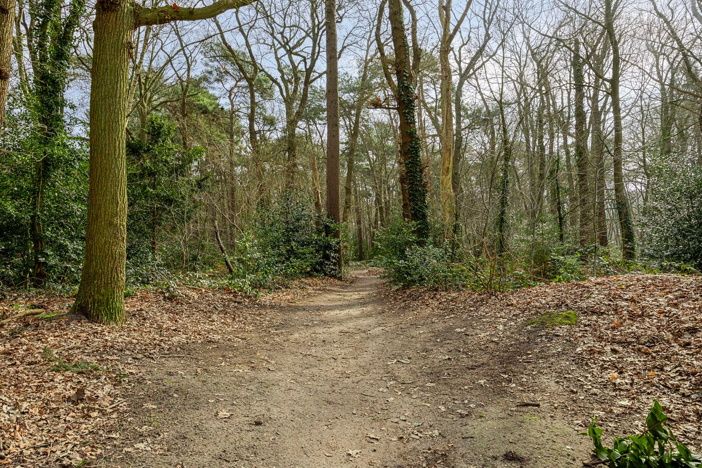 Foto 35 van Lonerstraat 12