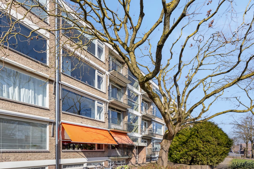 Photo 37 of Stadswal 16-B