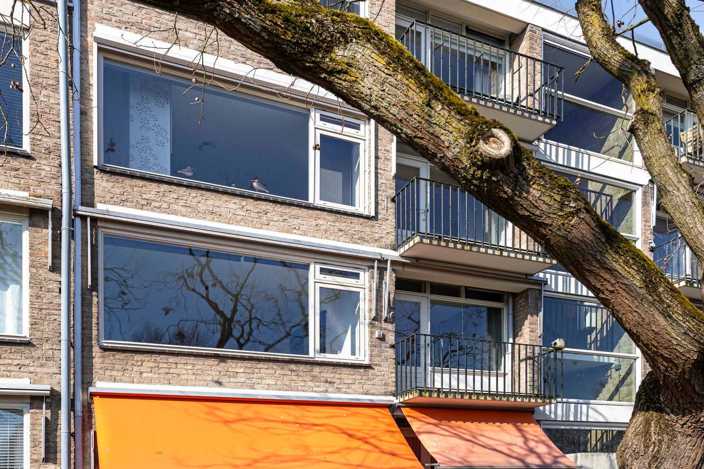 Photo 40 of Stadswal 16-B