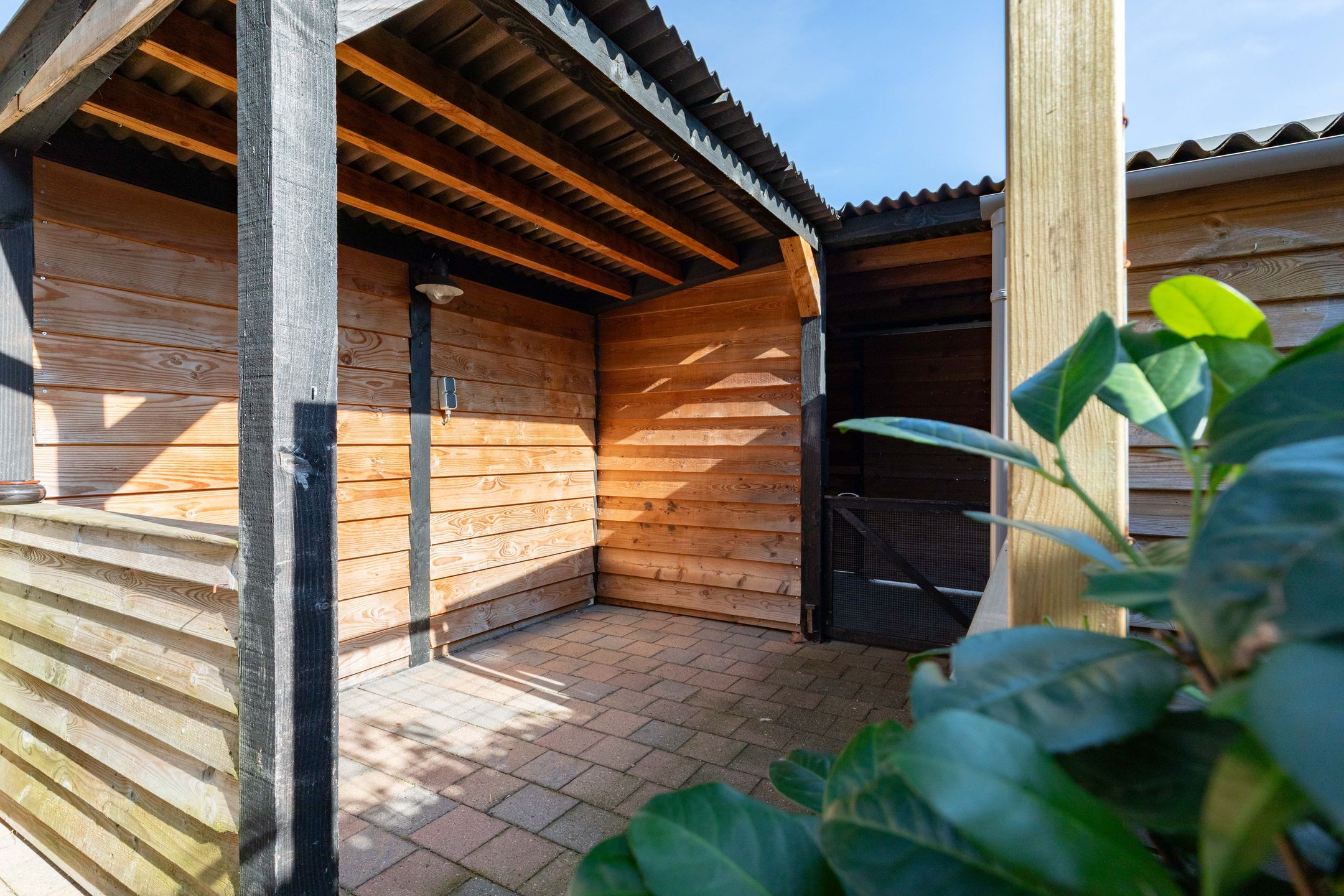 Foto 33 van Betje Wolffstraat 6