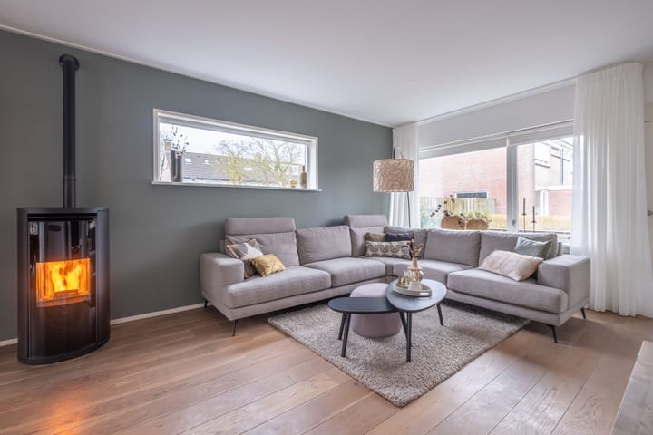 Photo 2 of Haniastins 11