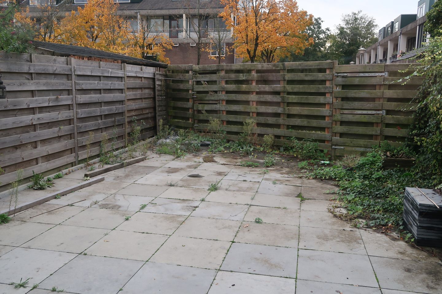 Foto 10 van Fazantenkamp 573