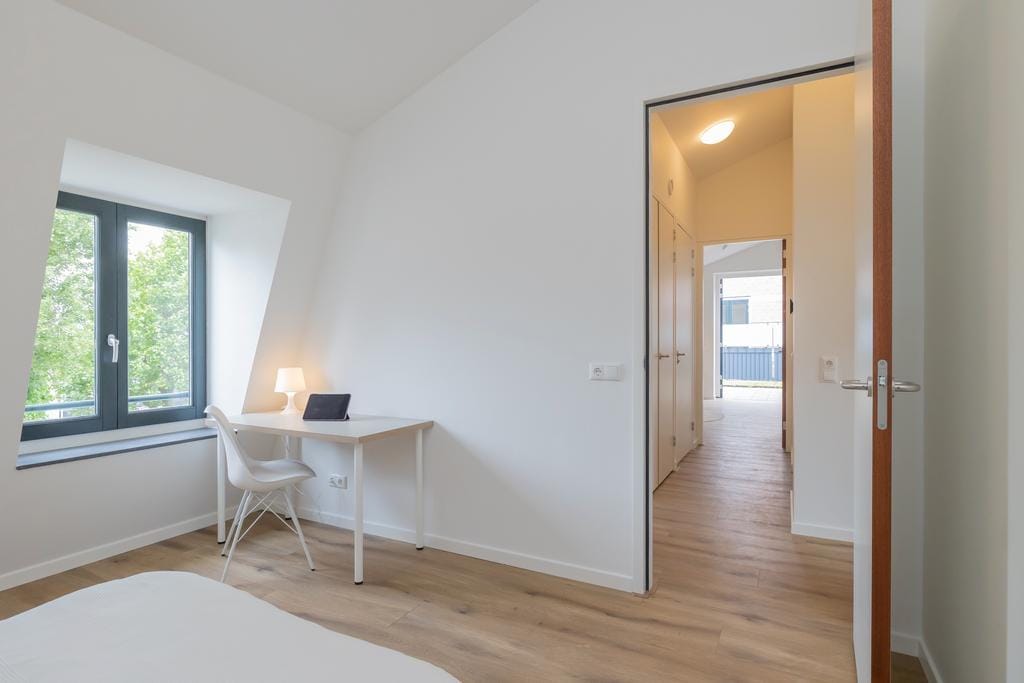 Photo 16 of Eerste Hasselaerstraat 3-B