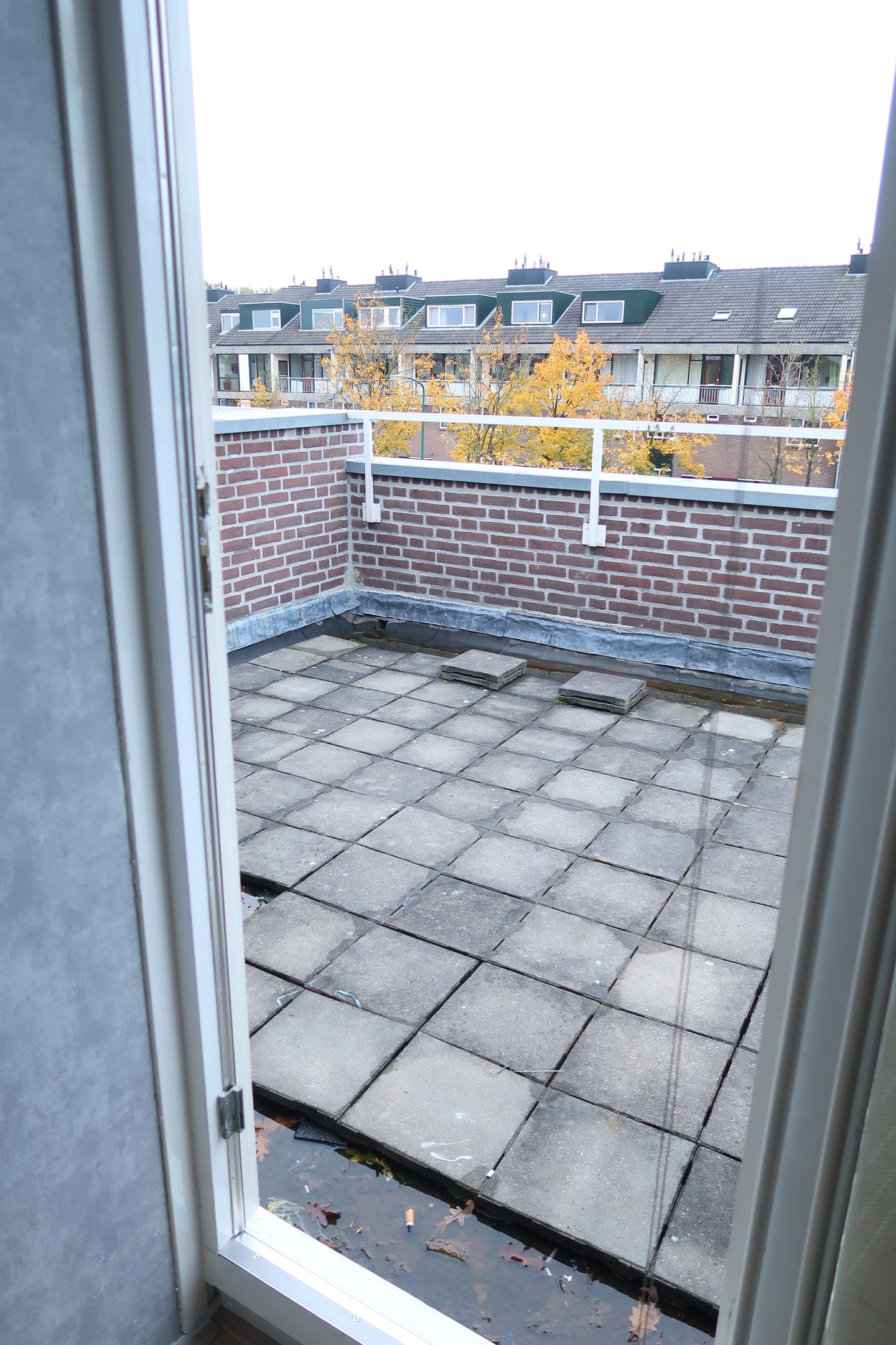 Foto 34 van Fazantenkamp 573