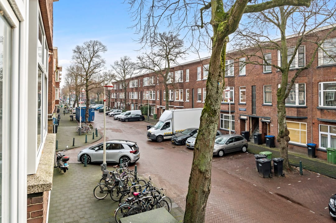 Foto 22 van Linnaeusstraat 253