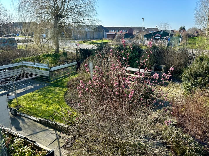 Foto 2 van Nieuwe Havenweg 1