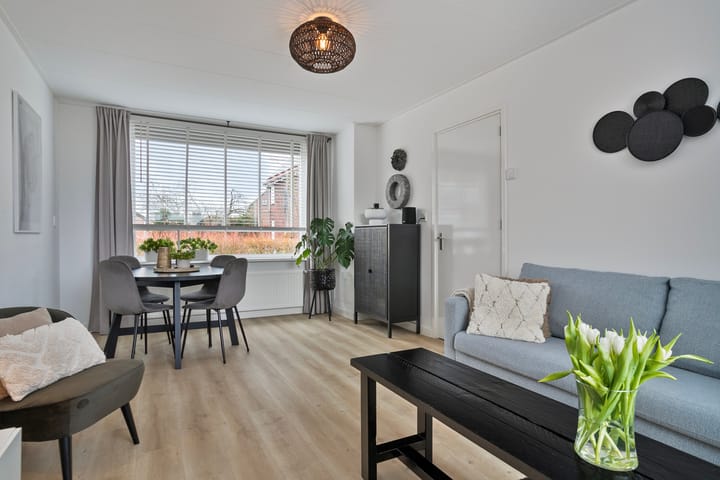 Foto 7 van Dorpsweg 58