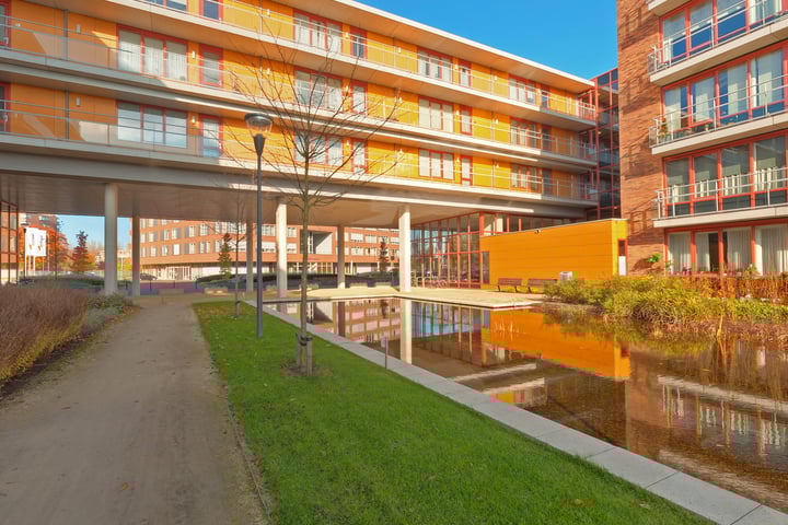 Gagelboschplein 494