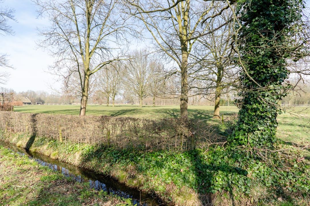 Foto 53 van Van Renesselaan 60