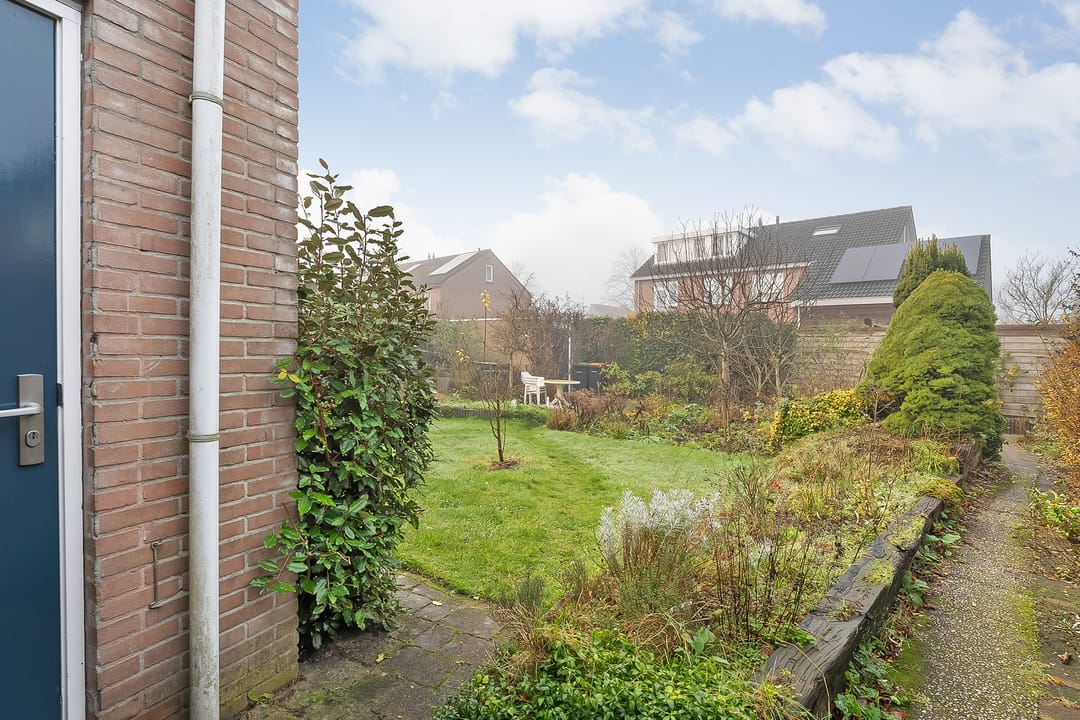 Foto 38 van Grasklokje 33