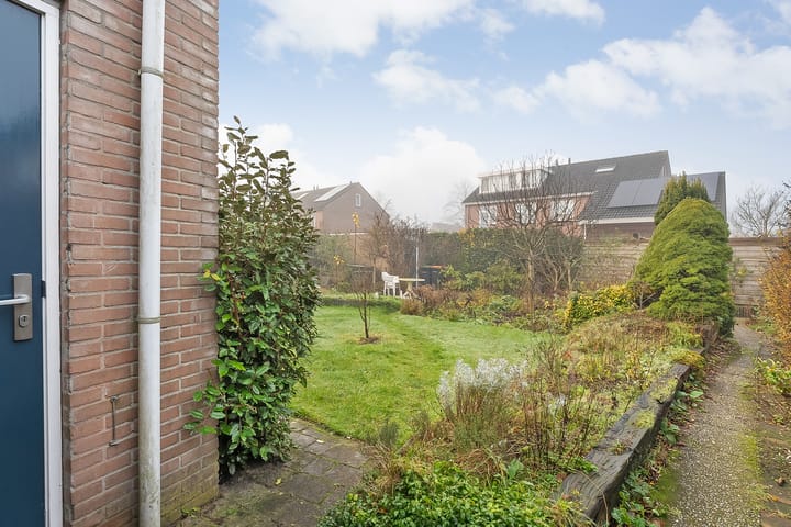 Foto 38 van Grasklokje 33