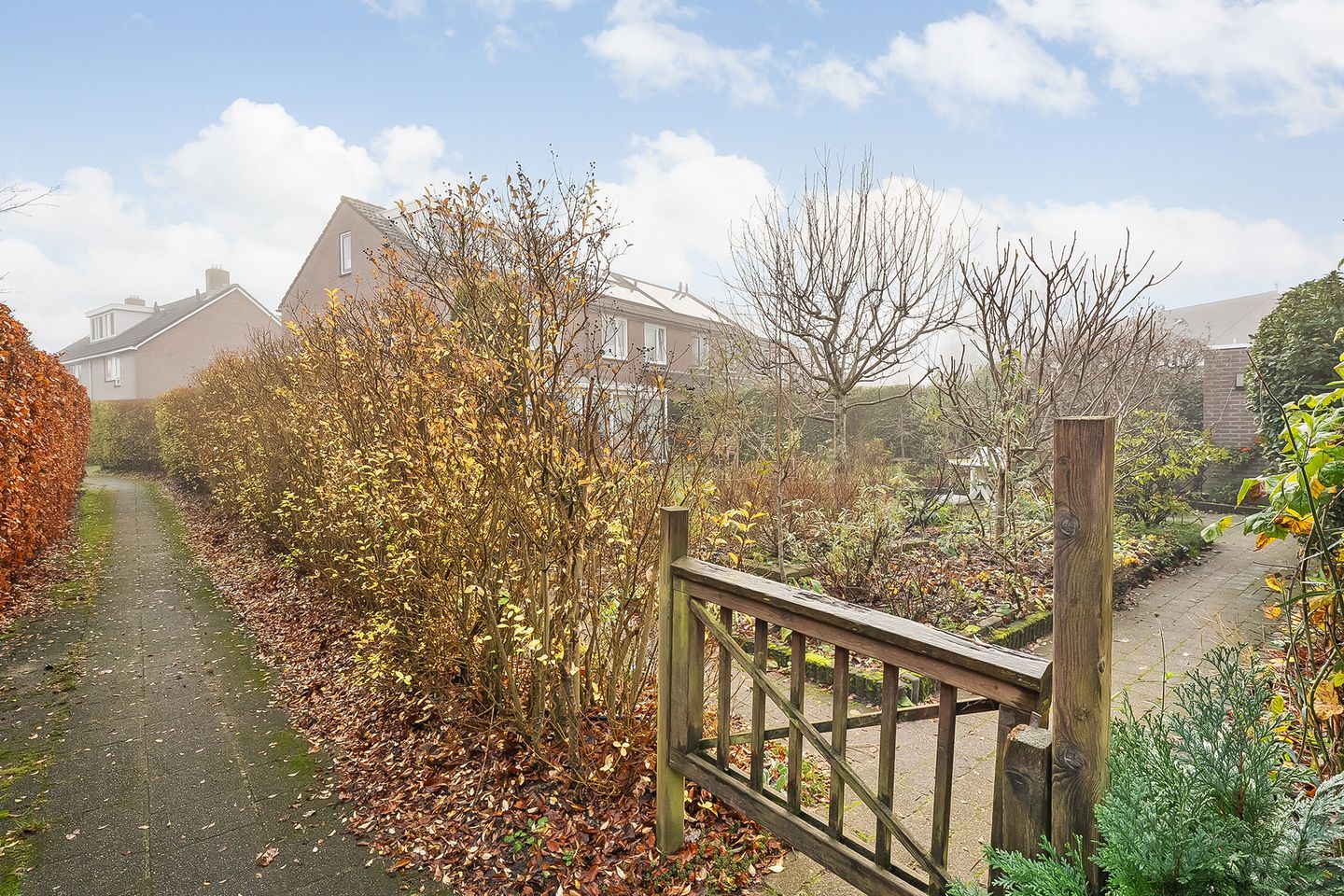 Foto 44 van Grasklokje 33