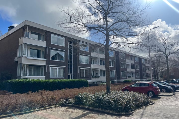 Bekijk foto van Ambonstraat 60