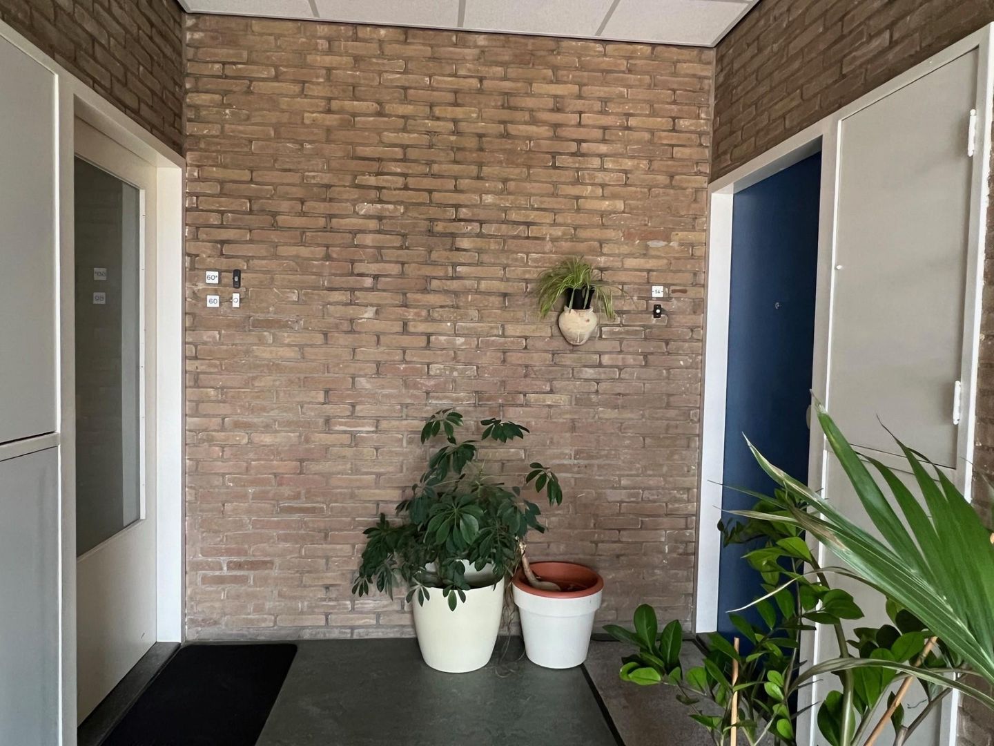 Foto 4 van Ambonstraat 60