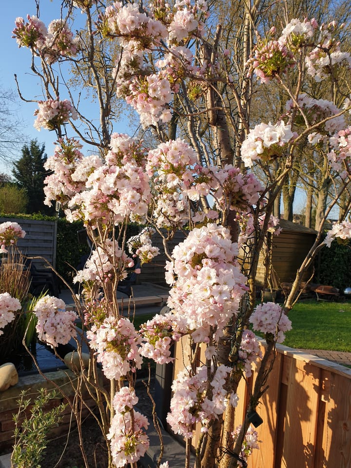 Foto 35 van Dr. Sloetlaan 7