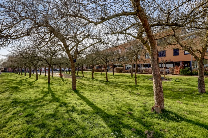 Foto 51 van Notarisappelgaarde 32