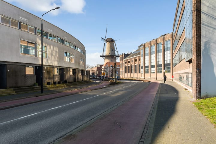 Foto 51 van Groenedijk 4