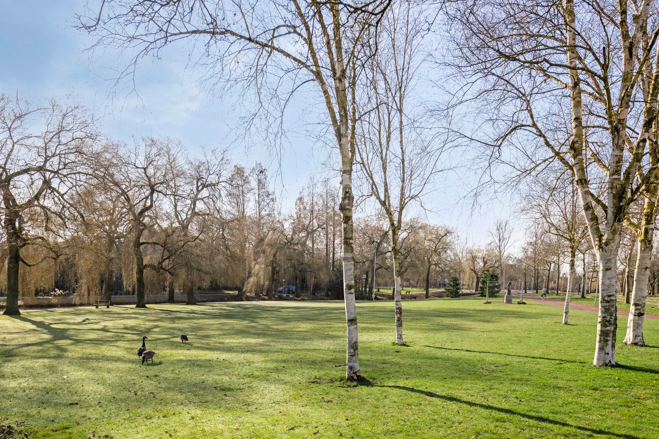 Foto 63 van Edenstraat 112