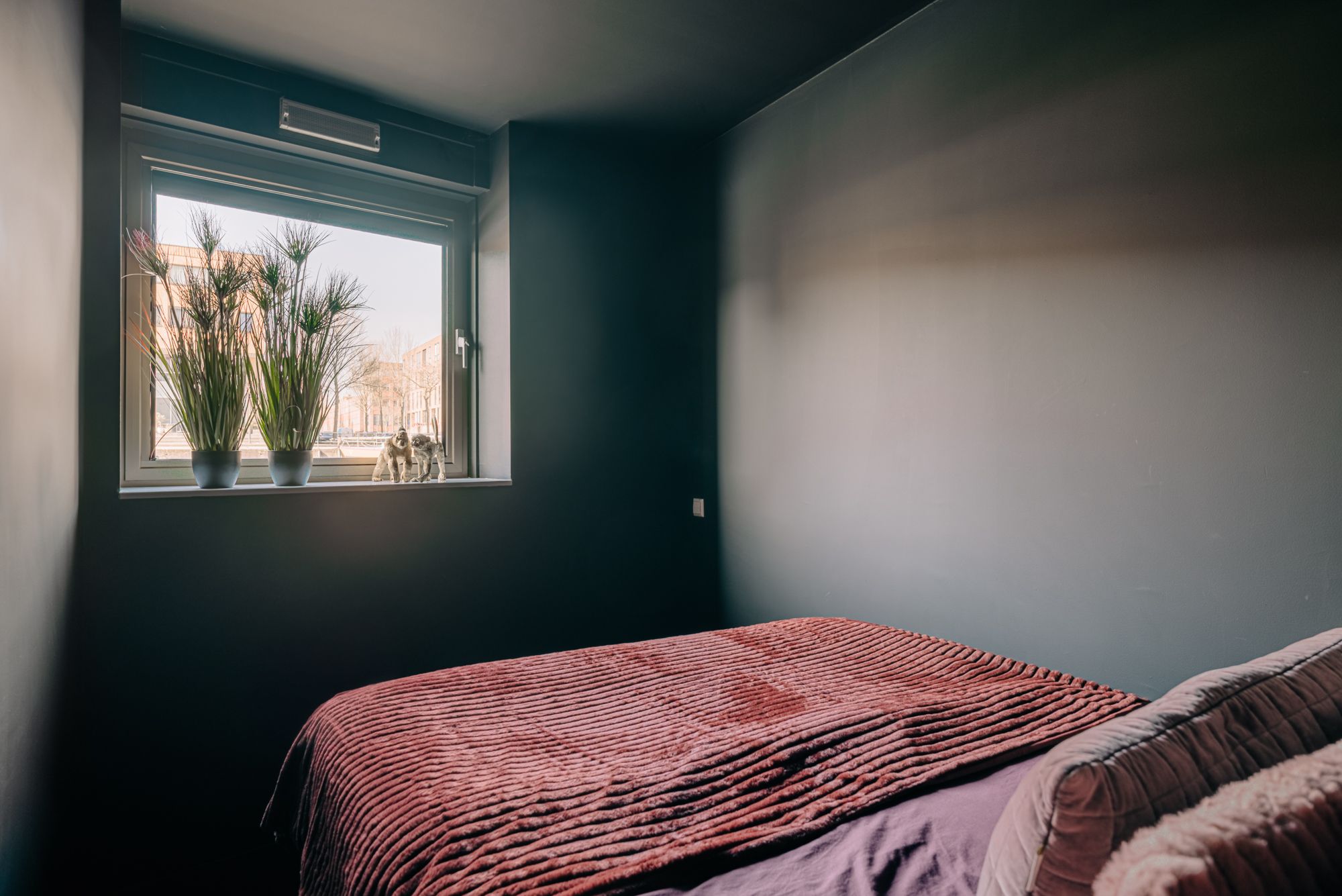 Photo 24 of Krijn Taconiskade 17