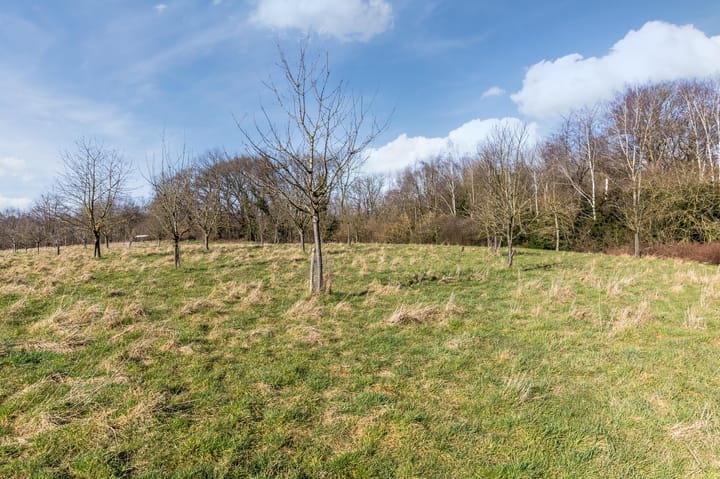 Foto 45 van Meldermunsterweg 9