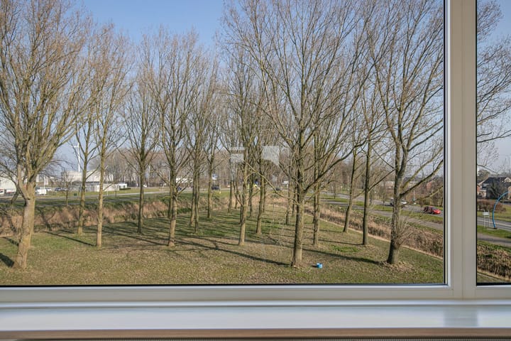 Foto 13 van Borgweg 35