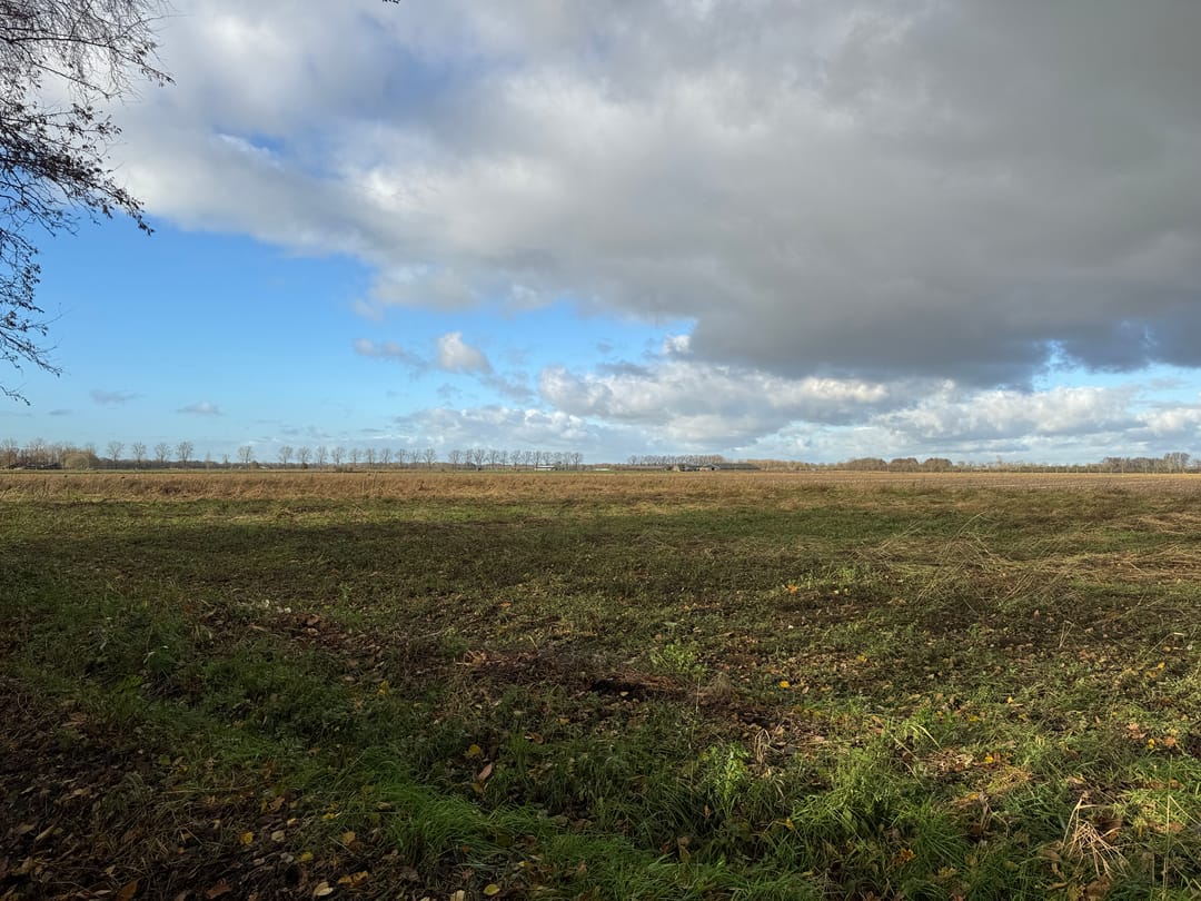 Foto 7 van Helstraat