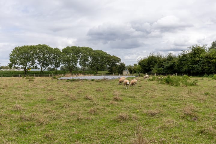 Foto 89 van Maaskempweg 1