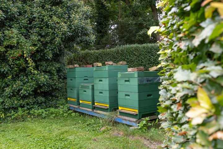 Foto 101 van Maaskempweg 1