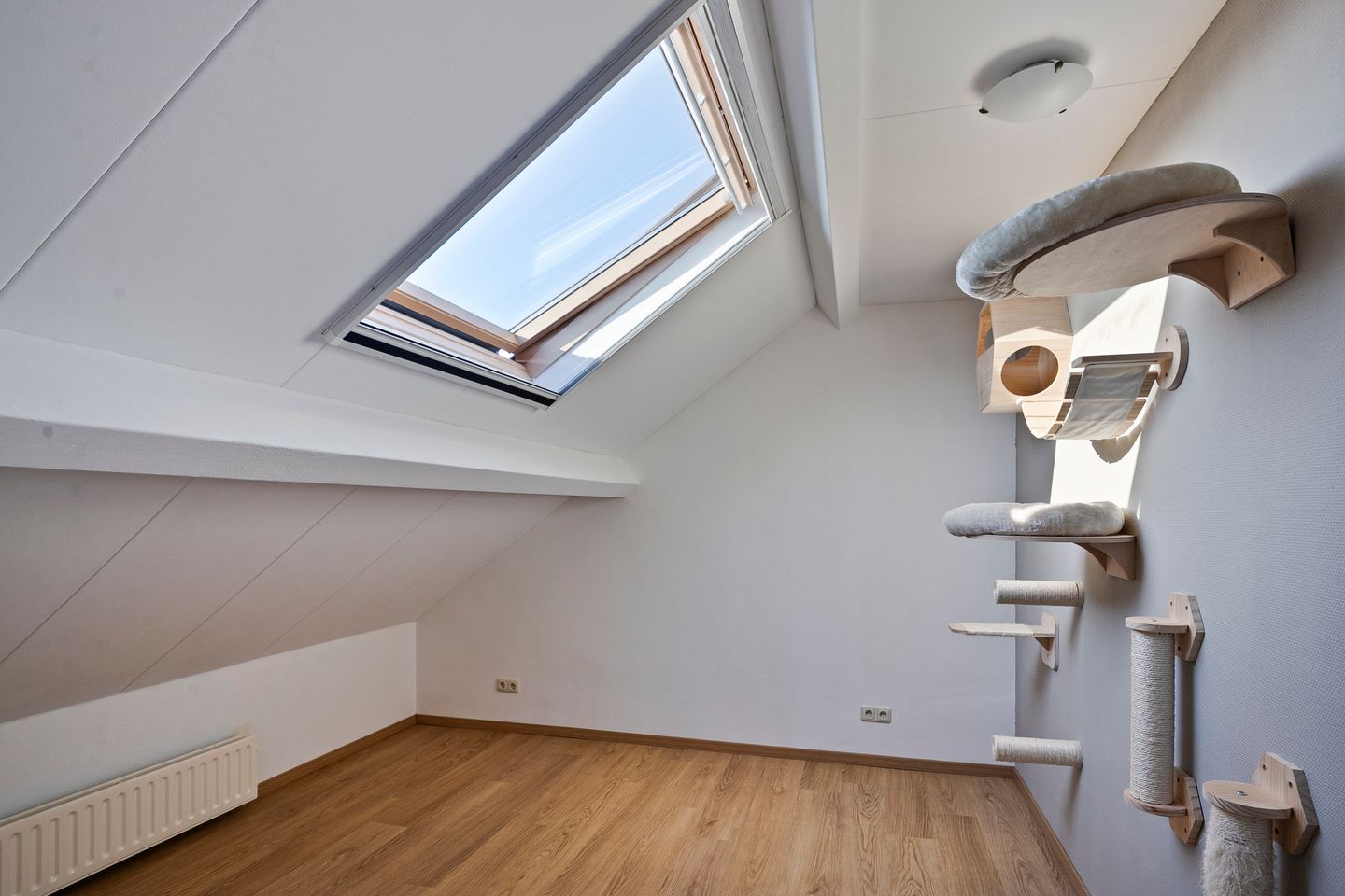 Foto 20 van Erica 23