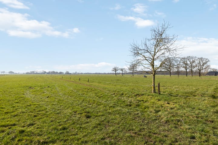 Foto 50 van Dalfserweg 12