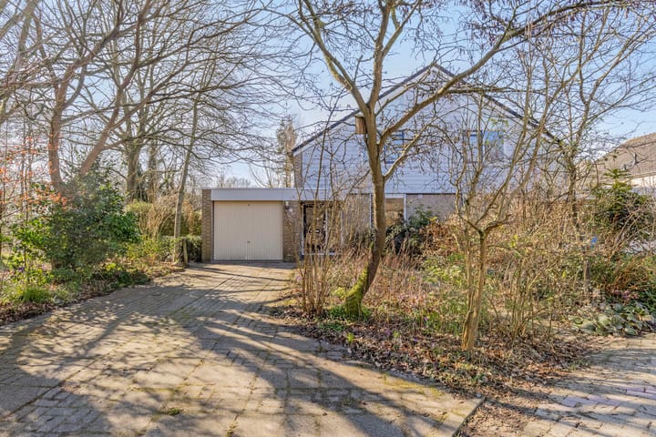 Foto 2 van Diezestraat 1