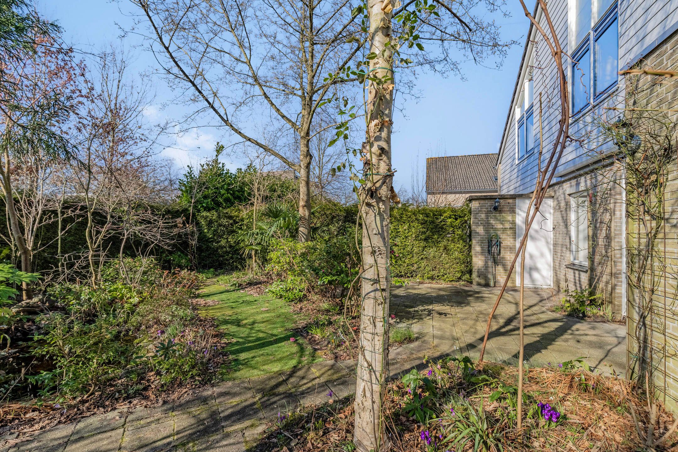 Foto 30 van Diezestraat 1