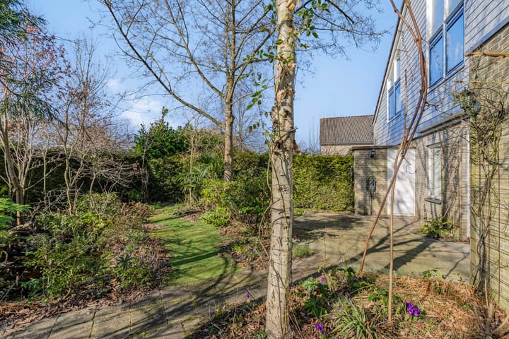 Foto 30 van Diezestraat 1