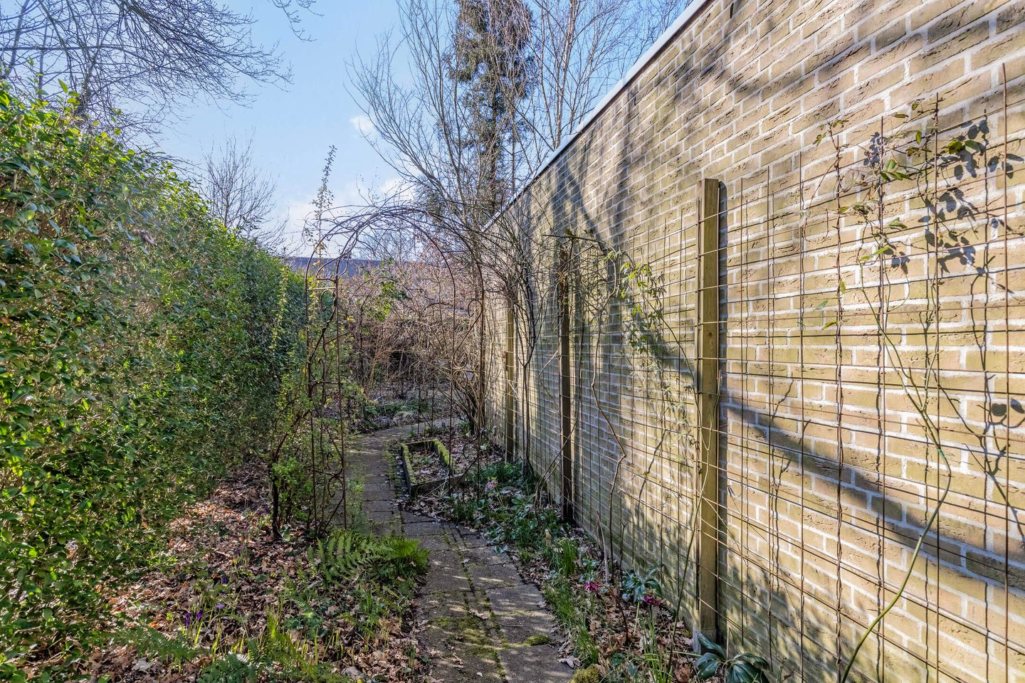 Foto 34 van Diezestraat 1