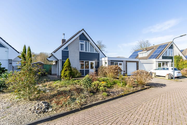 Photo 9 of De Tolve 41