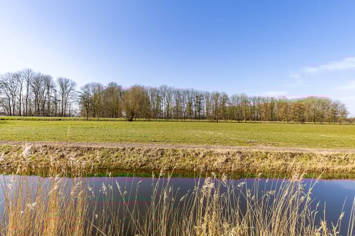 Photo 37 of De Tolve 41