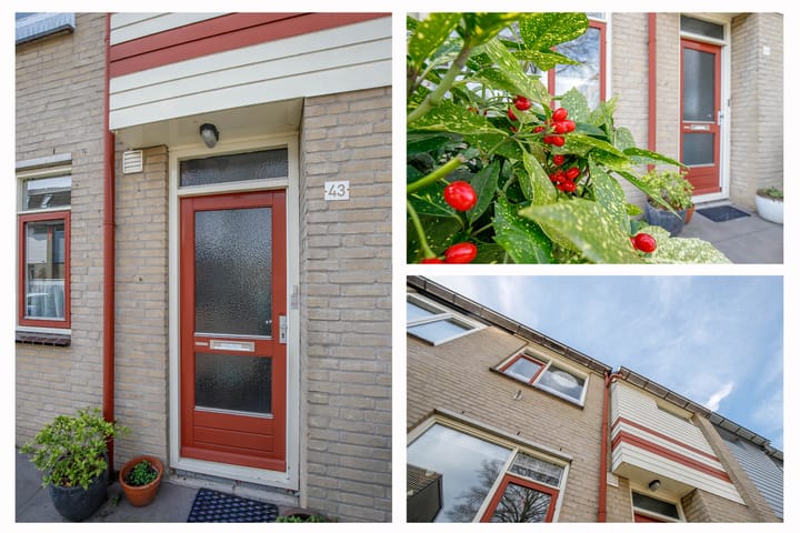 Foto 6 van Aart van der Leeuwstraat 43