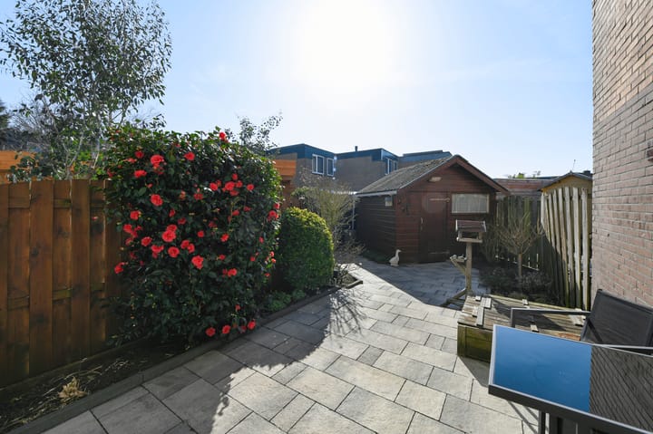 Foto 2 van Onderwei 12