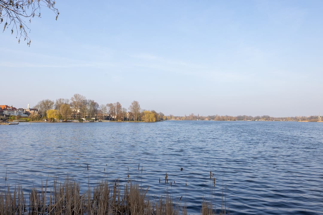 Foto 11 van Willem van Hillegaersbergstraat 98-B