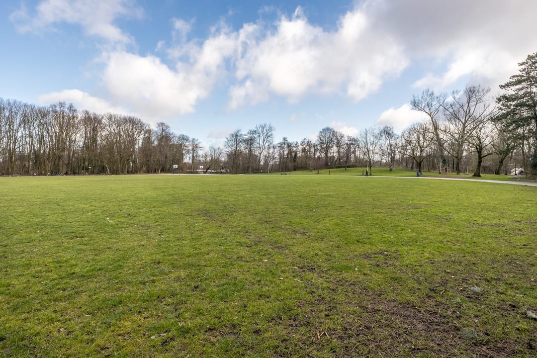 Foto 43 van Luiksestraat 22