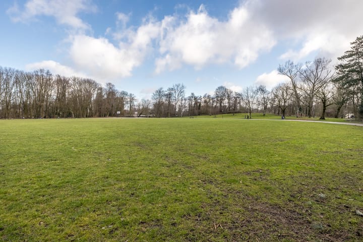 Foto 43 van Luiksestraat 22