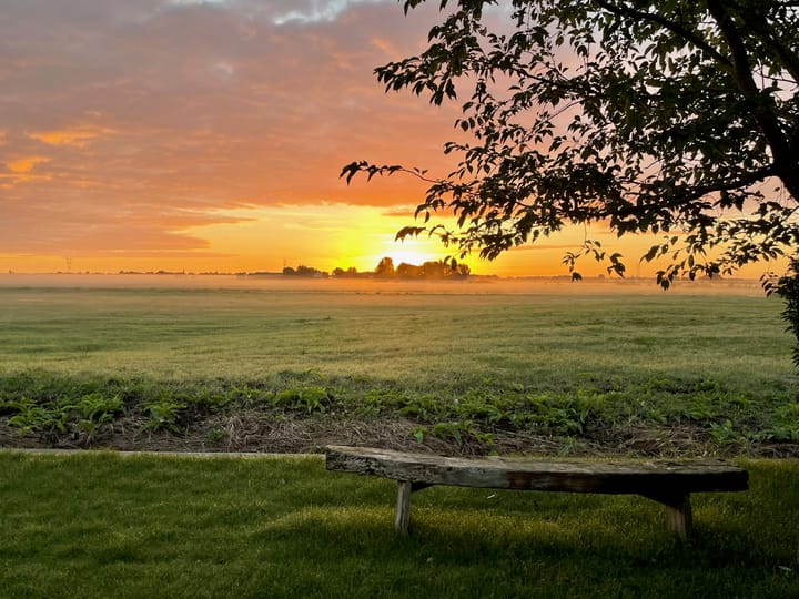 Foto 37 van Zwanenpad 8