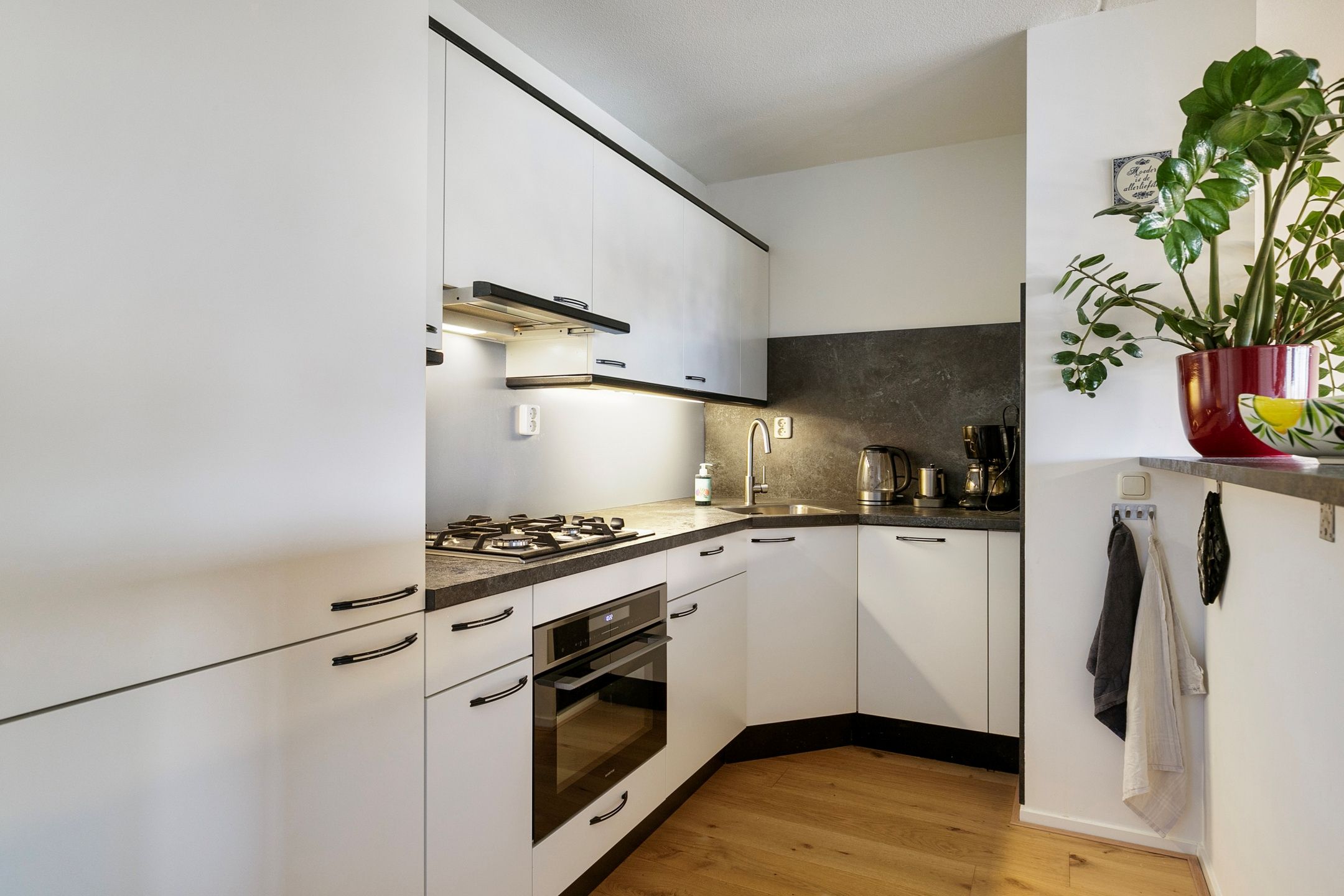 Foto 18 van Vegmolaan 10