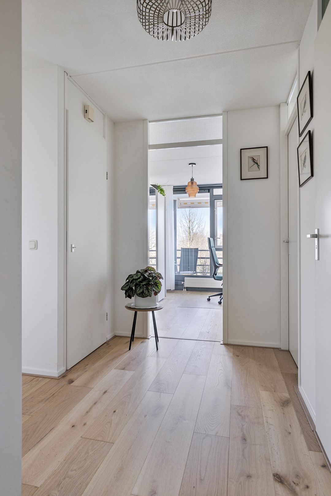 Foto 22 van Vegmolaan 10