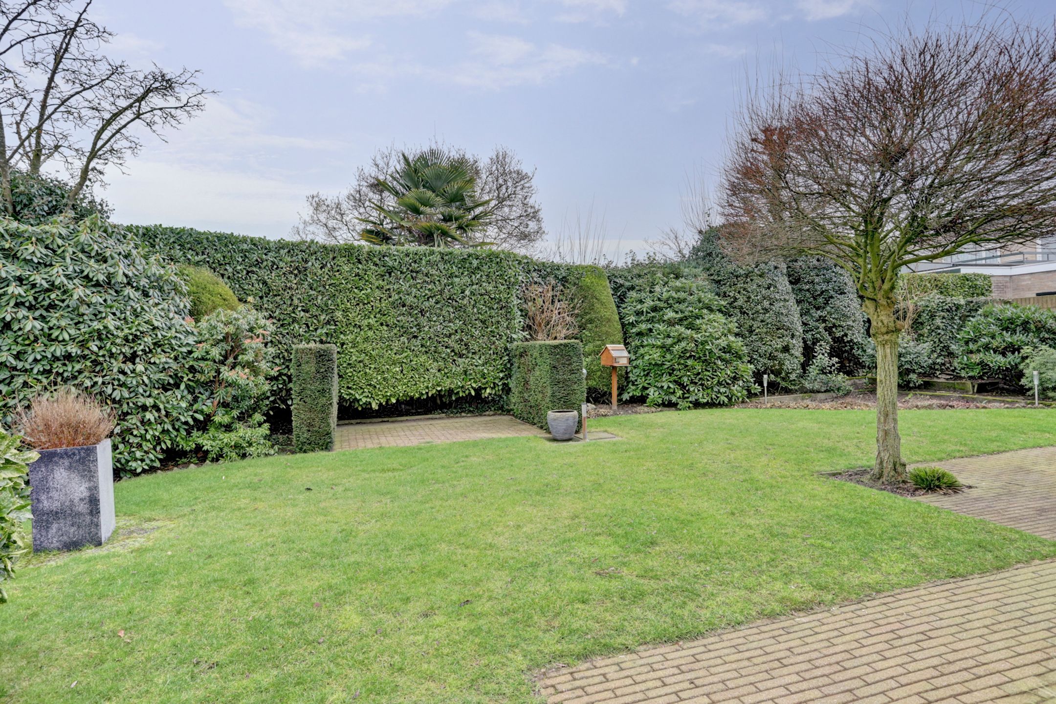 Foto 36 van Wilteindstraat 7