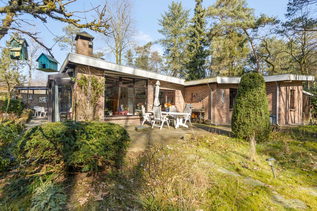 Foto 1 van Schaluinen 11-B438